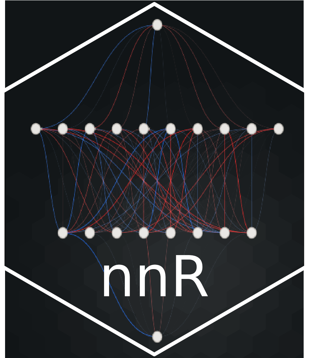 nnR hex logo